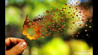 Phool Main Bhejoon (Eagle Jhankar) Movie: SALMA PE DIL AA GAYA 1997 Singers: Kumar Sanu & Lata