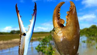 WHICH CRAB IS ULTIMATELY BETTER?