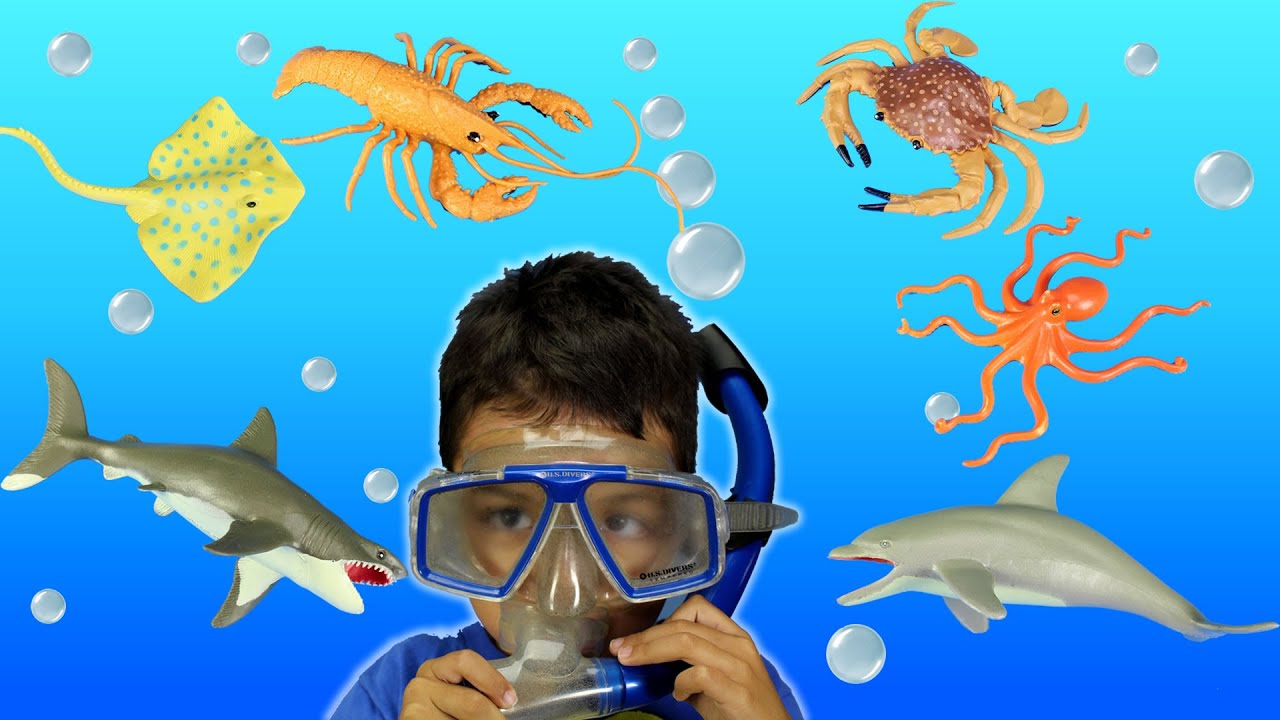 Commotion in the Ocean Nursery Class Blog