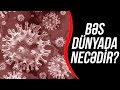 İşbazlar koronavirus bəlasından necə yararlanır?