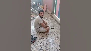 بلبل ميت 