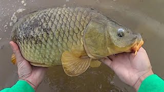 Keep It Simple Carp Fishing | Easy Method For Catching Carp screenshot 2