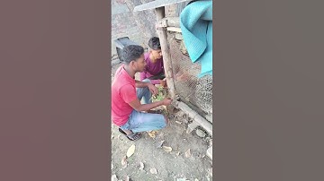 my first vlog #shorts my first vlog vairl my first vlog on YouTube #vairl #vlogger  #vlogging 😁