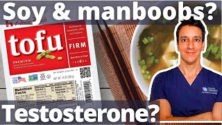 Does Soy cause manboobs?! Gynecomastia, Testosterone, Estrogen