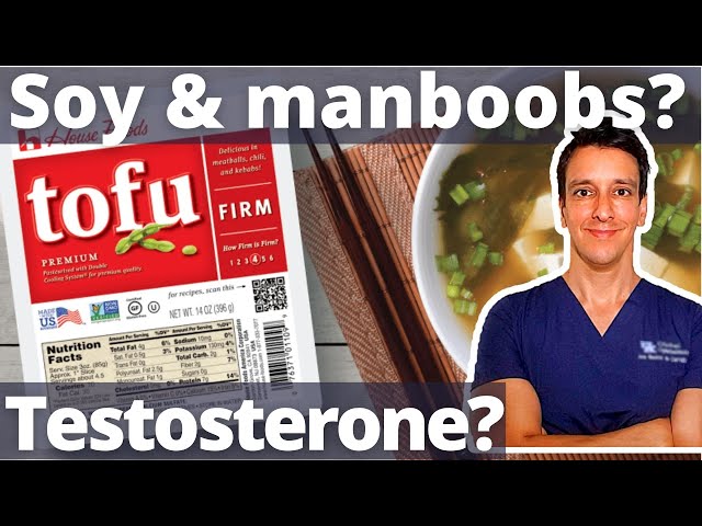 Does Soy cause manboobs?! Gynecomastia, Testosterone, Estrogen class=