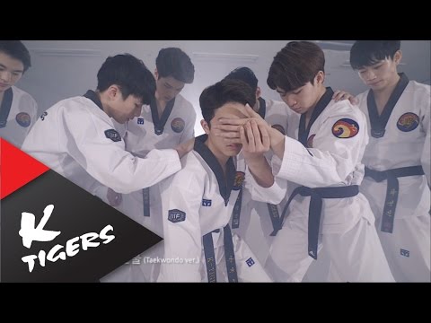 방탄소년단 (+) 피땀눈물 태권도 버전  BTS
