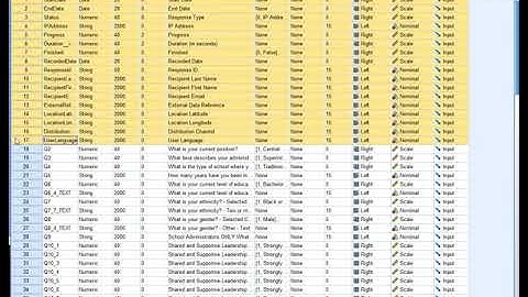 Making your SPSS database from survey data