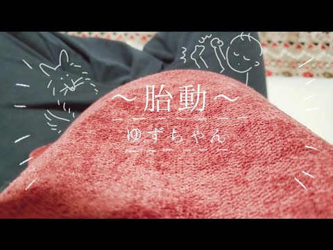 【胎動】ゆずちゃんの胎動激しめ…