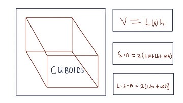 volume and surface area of a cuboid | Examples and calculations