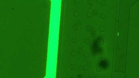 Gradient generation inside nanopore microfluidic device