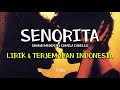 Download Lagu Shawn Mendes, Camila Cabello - Señorita (lirik dan terjemahan Indonesia)