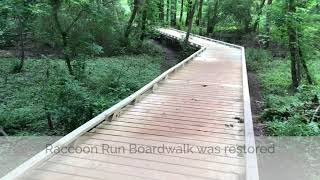 A Look at 2020 at Lake Conestee Nature Preserve