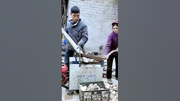 The cutting process of medicinal herbs = good tools can increase efficiency