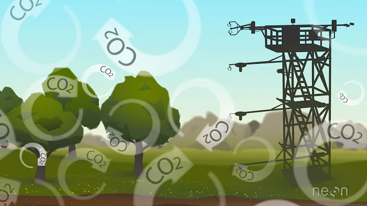 Eddy Covariance: Measuring an Ecosystem's Breath