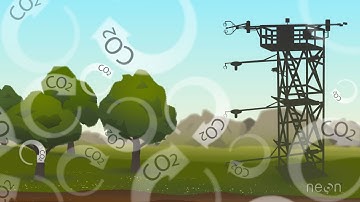 Eddy Covariance: Measuring an Ecosystem