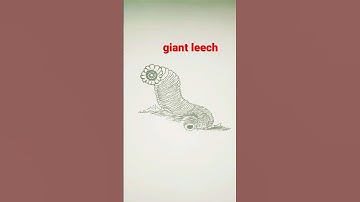 Giant Leech drawing easy #shorts #shortvideo #viral