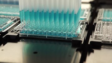 Biomek i-Series: Large Volume Transfer Using the 96 Multichannel