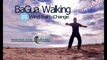 BaGua Zhang -  Wind Palm Change