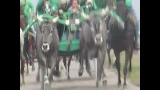 Collefinocchio 25-03-2012.mpg