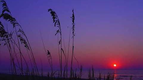 The Intangible-"Magic in Mechanism"