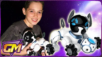 Chip The Robot Dog Toy: Who Let The Dogs Out?