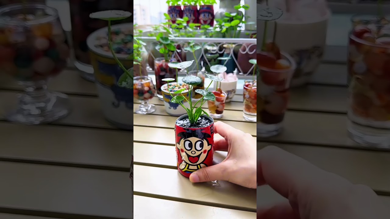 Beautiful garden flowers plants grass flowers #diy #flowers #plants #garden #2025