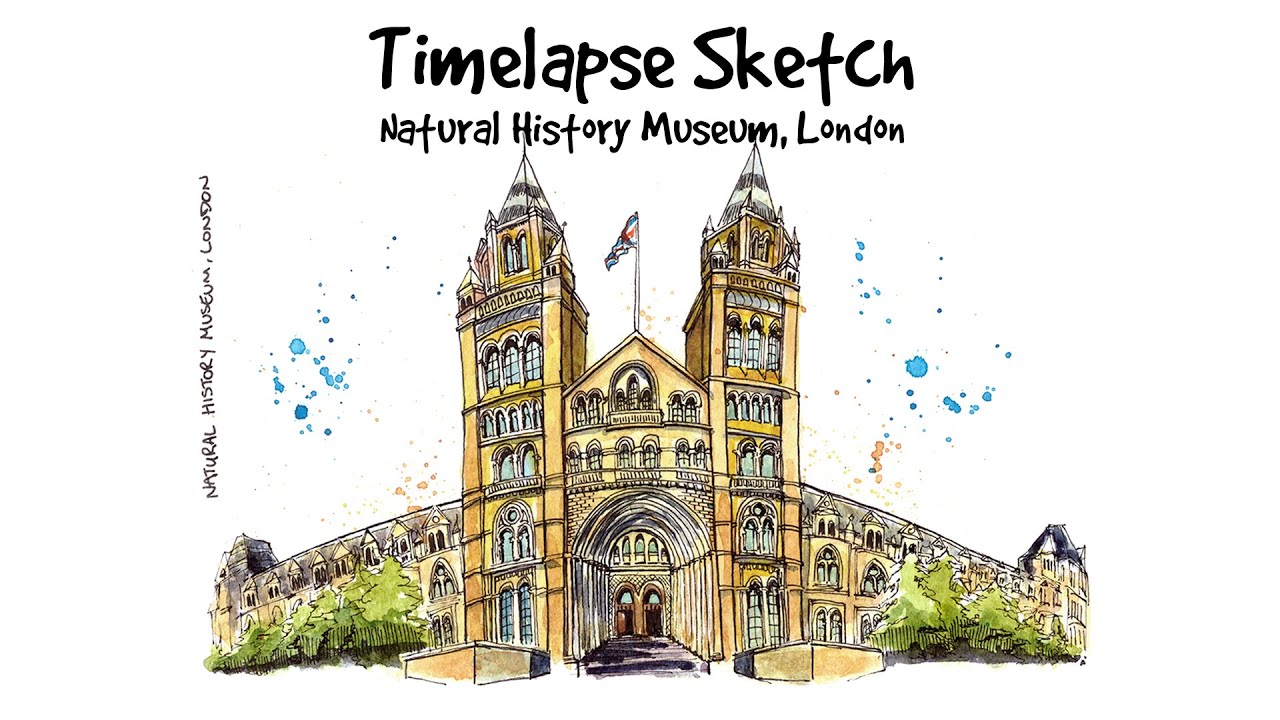 Sketching in the Natural History Museum  Urban Sketchers