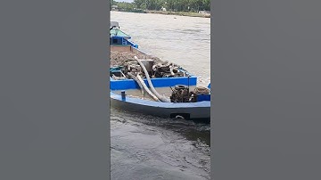 SÀ LAN VƯỢT CỐNG.#short.