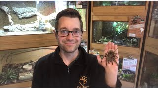 Ranger Stu - Week 2 - Minibeasts