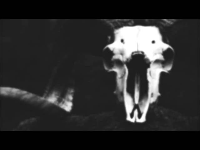 Skogen - Genom Svarta Vatten