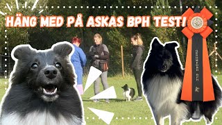 Aska gör BPH test! 🫣