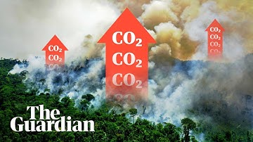 How the Amazon has started to heat the planet | It