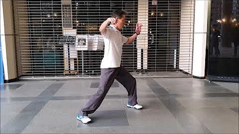 太极拳如何练身体内的"转折" 行气如九曲珠 ? (单鞭蛇身下势) - 天天要闻