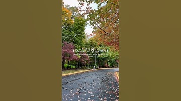 تلاوه من سورة الأعراف|بصوت القارئ خالد هليل العنزي🎧✨ #quran #trending #قرآن #قران_كريم