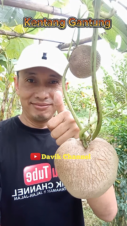 Kentang Gantung#shorts