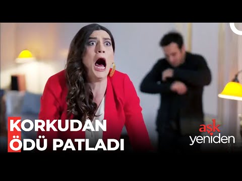 Şekerzicade Konağı Ayağa