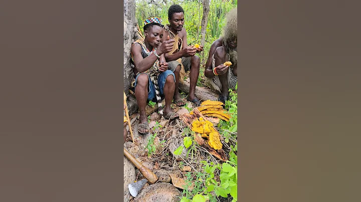 Eating Honey During Rains With Hadzabe Tribe#shortsfeed #hadzabetribe