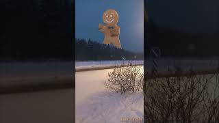 🍪 Giant Gingerbread Man 🍪 #shorts #christmas #caughtoncamera