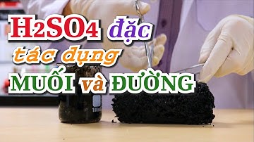 H2SO4 đậm đặc tác dụng với MUỐI và ĐƯỜNG | Điều chế HCl  | Thí nghiệm HÓA lớp 9 -10