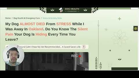 Dog Ecom Funnel Breakdown  Native Ads For Taboola And Outbrain