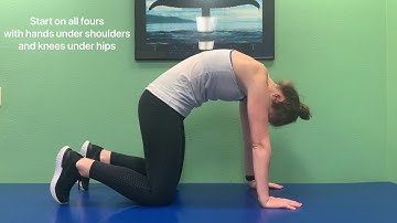 Segmental Cat Camel (head first)