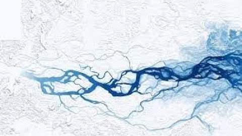 Explained in detail Google flood forecasting and Project Euphonia