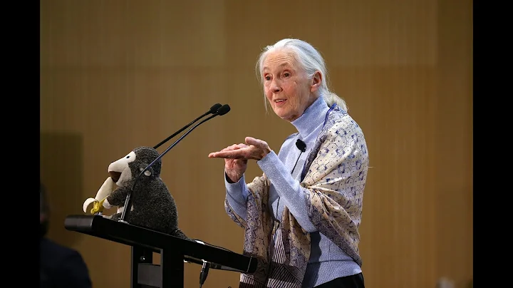 The Conversation: The Future of the Wild with Dr. ...