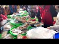 Taiwan Seafood Auction / 海鮮叫賣哥 - Taiwanese Tradition Market