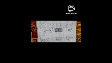 Class 11 Practical Experiment no.2 Biology