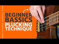 Basic Bass Plucking Technique (Beginner Bass Basics)