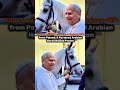 Pope Leo XIV Receives a Unique Gift from Poland: A Purebred Arabian Horse Named Proton #PopeLeoXIV