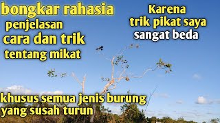 Cara atasi burung trucukan susah di pikat.paham pulut. Paham mp3. Tidak mau turun. trik ke 2