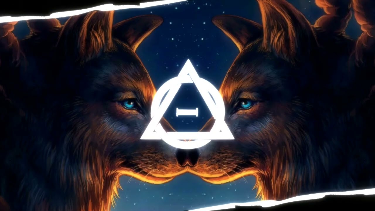 Noi_Iceshark - The silence of the Black Wolf Therians