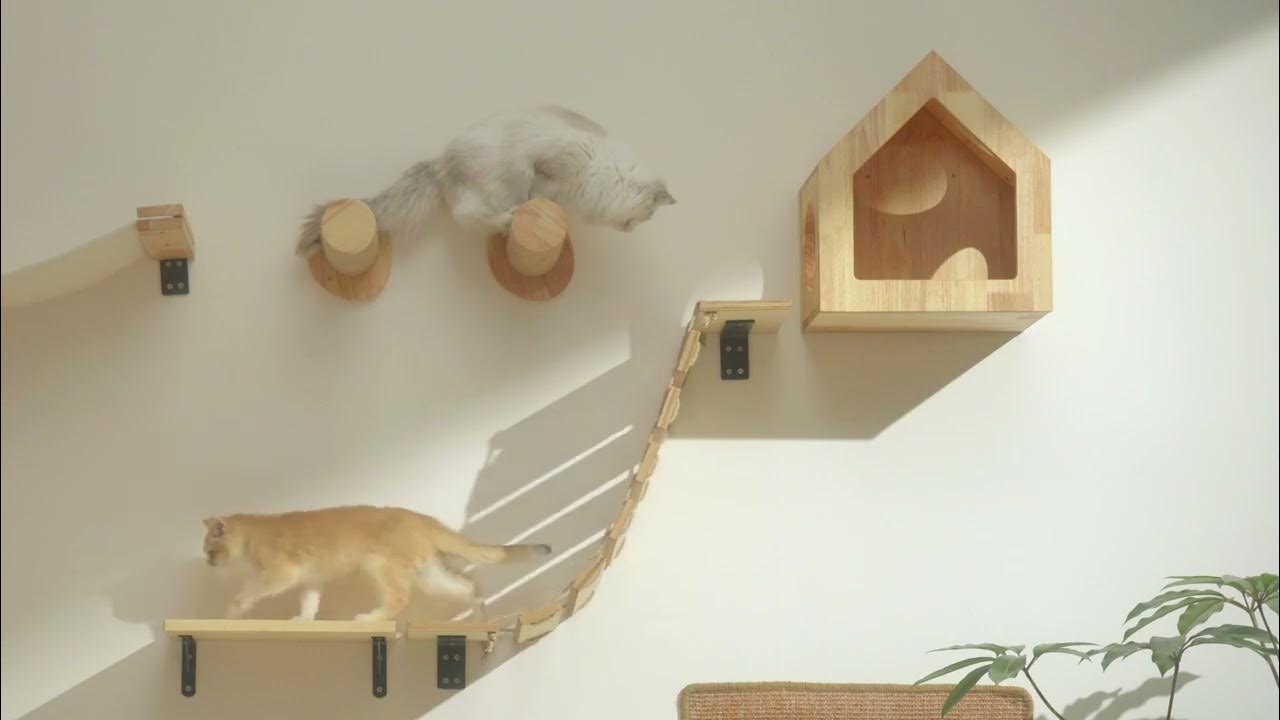 FUKUMARU CAT WALL JUNGLE YouTube